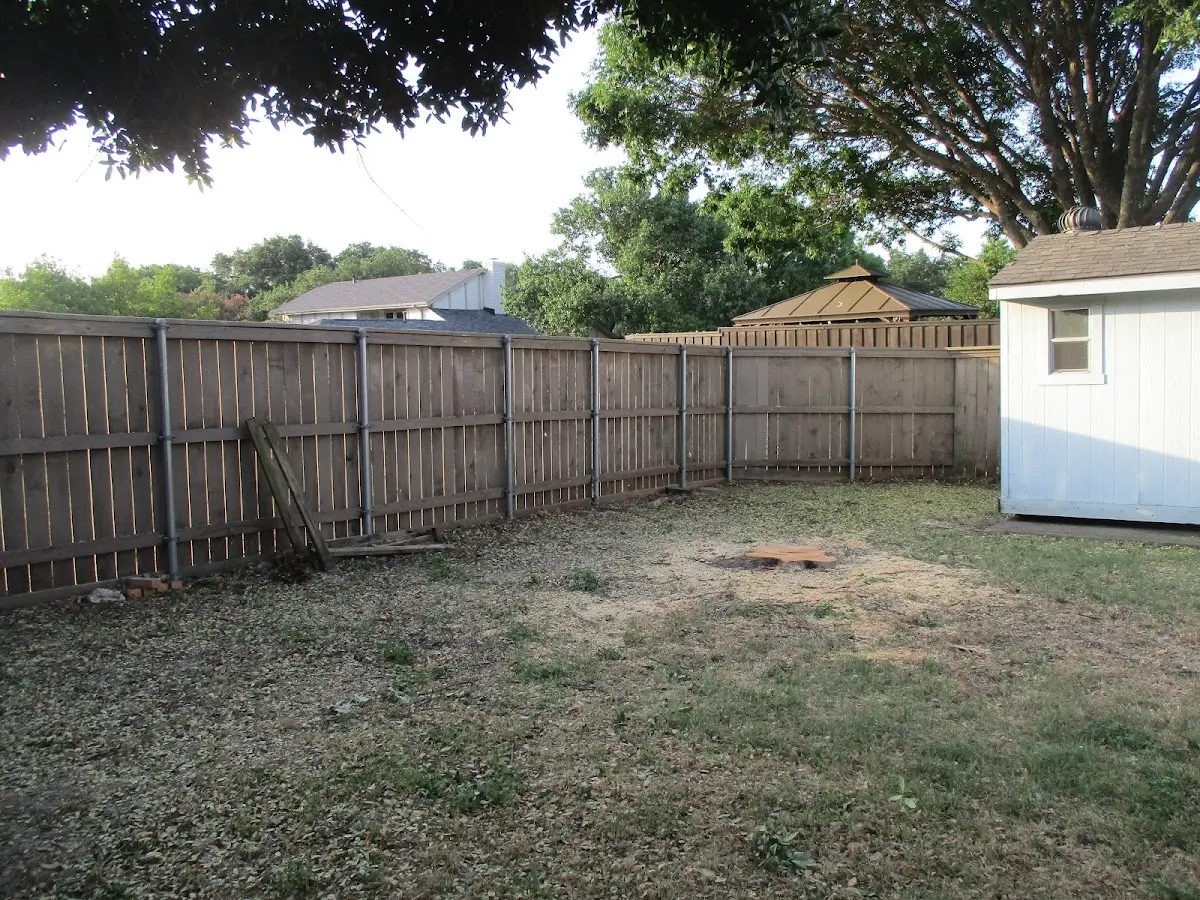 Cleared yard after professional tree removal in Arbyrd