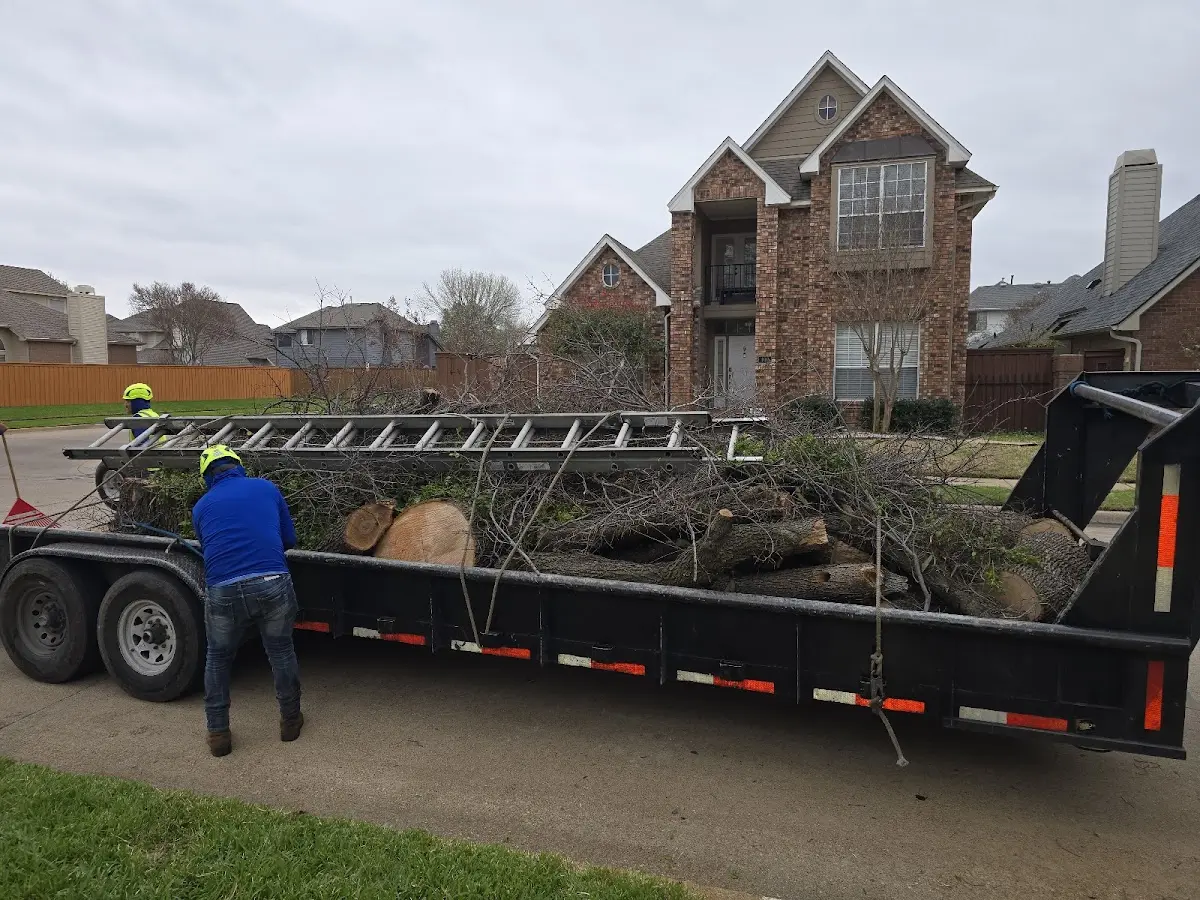 Expert Lot Clearing with proper safety equipment in Arbyrd